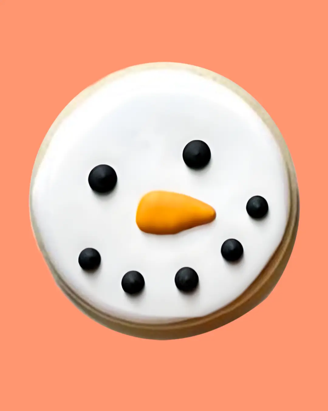 12 GAlleta muñNieve