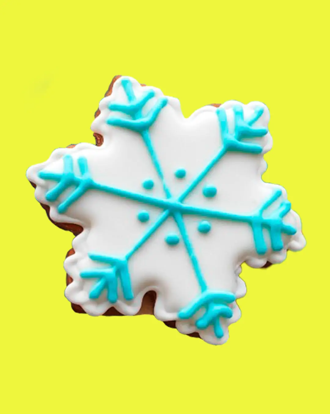 13 GAlleta copo de nieve